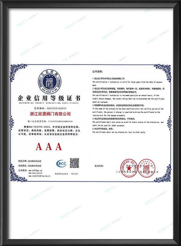 Сертификат корпоративного кредитного рейтинга AAA