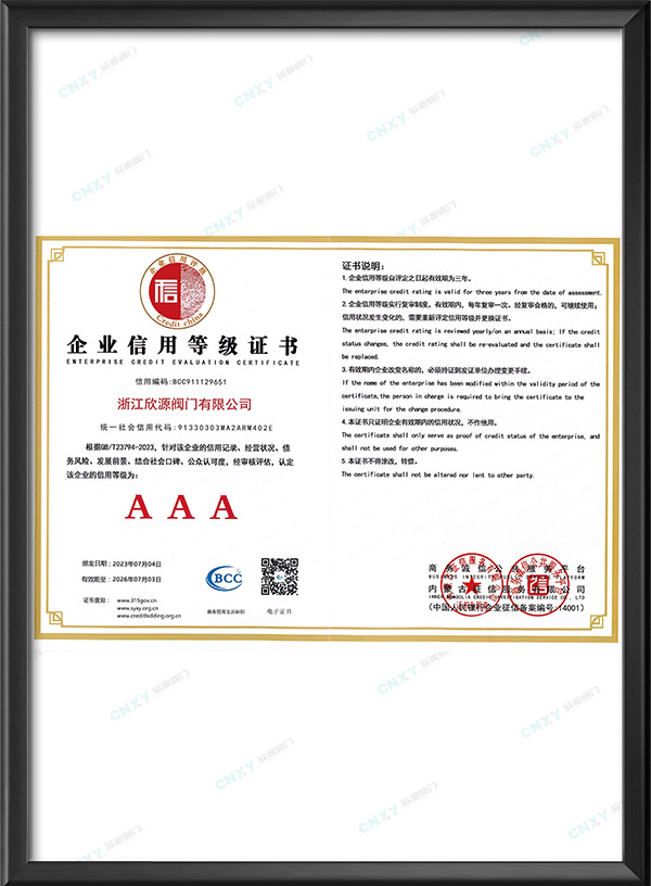 Сертификат корпоративного кредитного рейтинга AAA